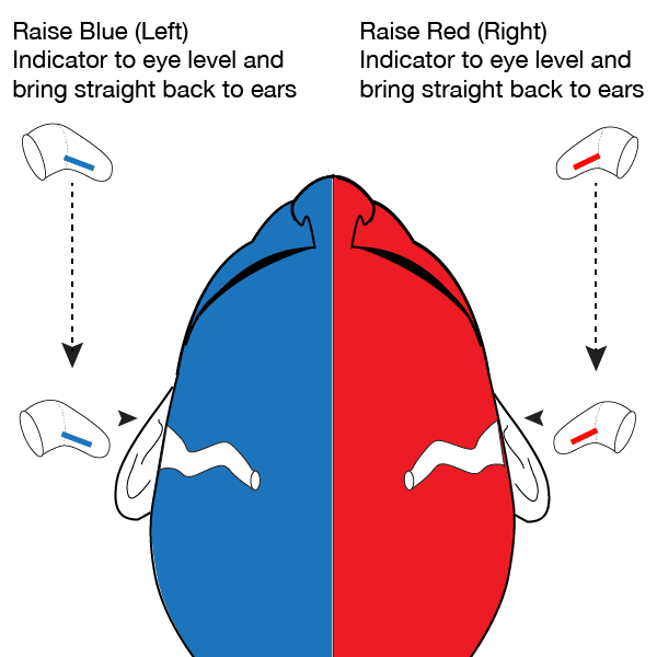 Earasers Instructions